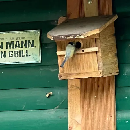 Zirkuswagen Im Gruenen Tente de luxe *