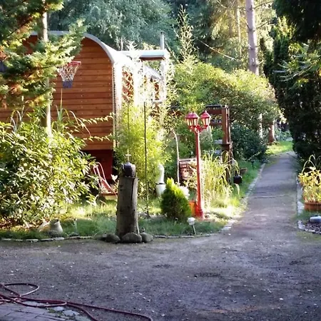 Zirkuswagen Im Gruenen